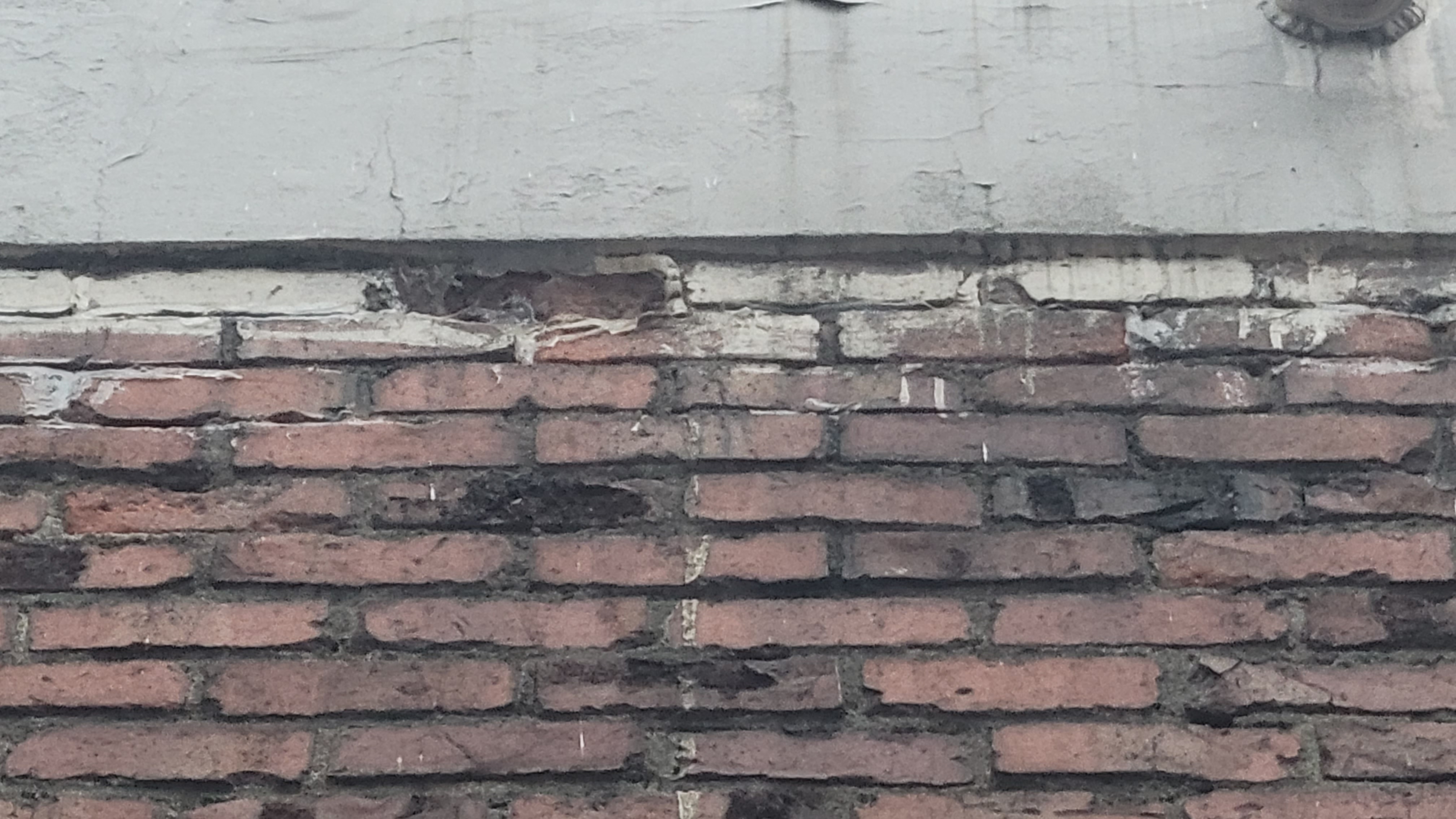 20260314_182329.jpg